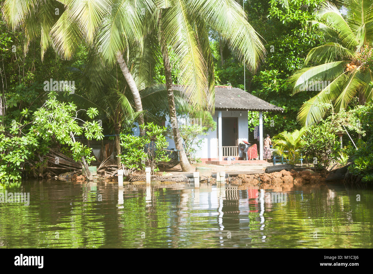 Madu Ganga, Balapitiya, Sri Lanka - DECEMBER 2015 - Native life at Maduganga lake, Asia Stock Photo