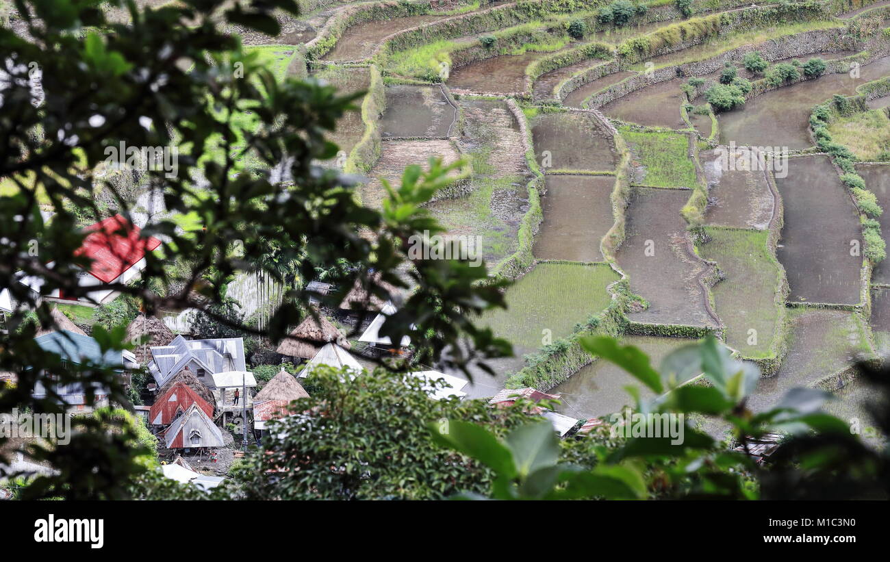 The Batad village cluster-part of the Rice Terraces of the Philippine Cordilleras UNESCO World Heritage Site in the cultural landscape category. Banau Stock Photo