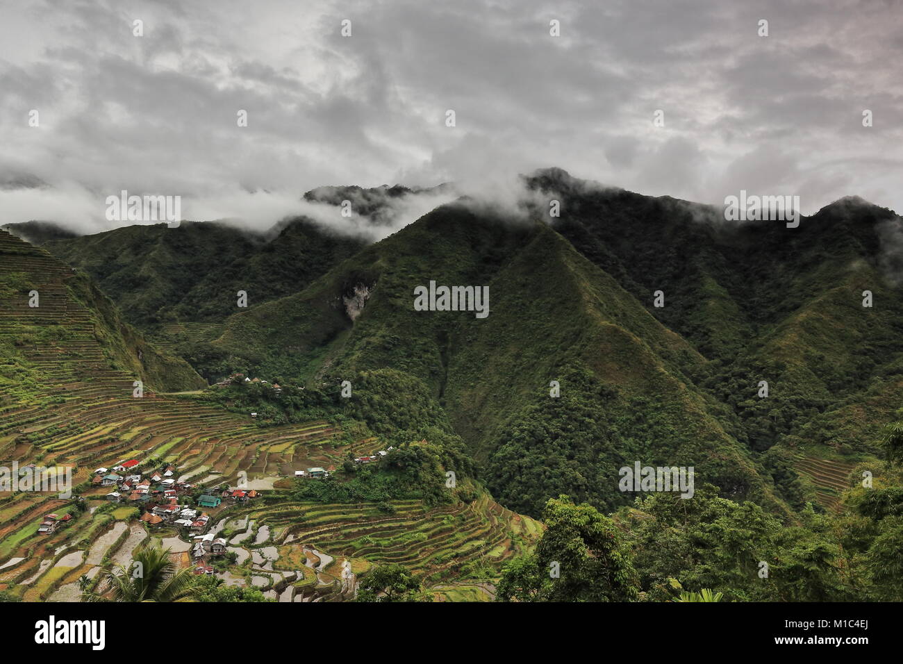 The Batad village cluster-part of the Rice Terraces of the Philippine Cordilleras UNESCO World Heritage Site in the cultural landscape category. Banau Stock Photo