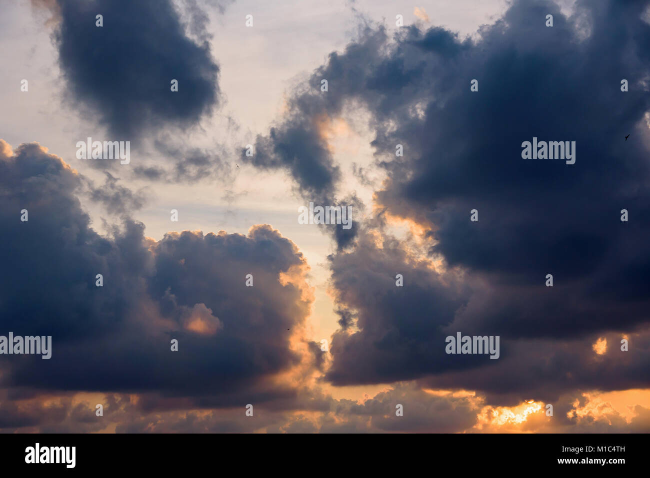 Dark clouds on the orange sky at sunset Stock Photo - Alamy