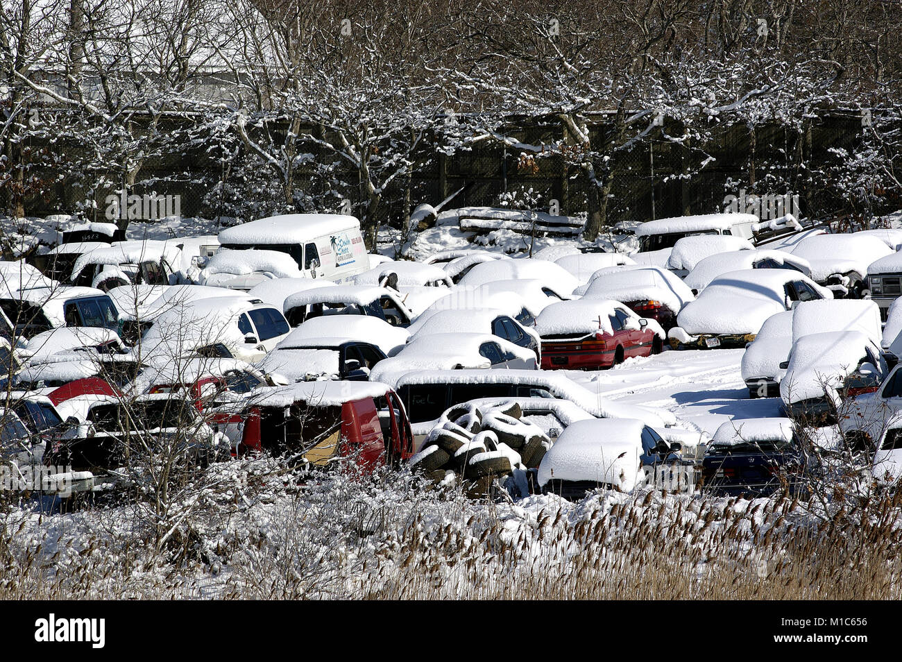 Snow covered automobile junkyard in Harwich, Massachusetts on Cape Cod, USA Stock Photo