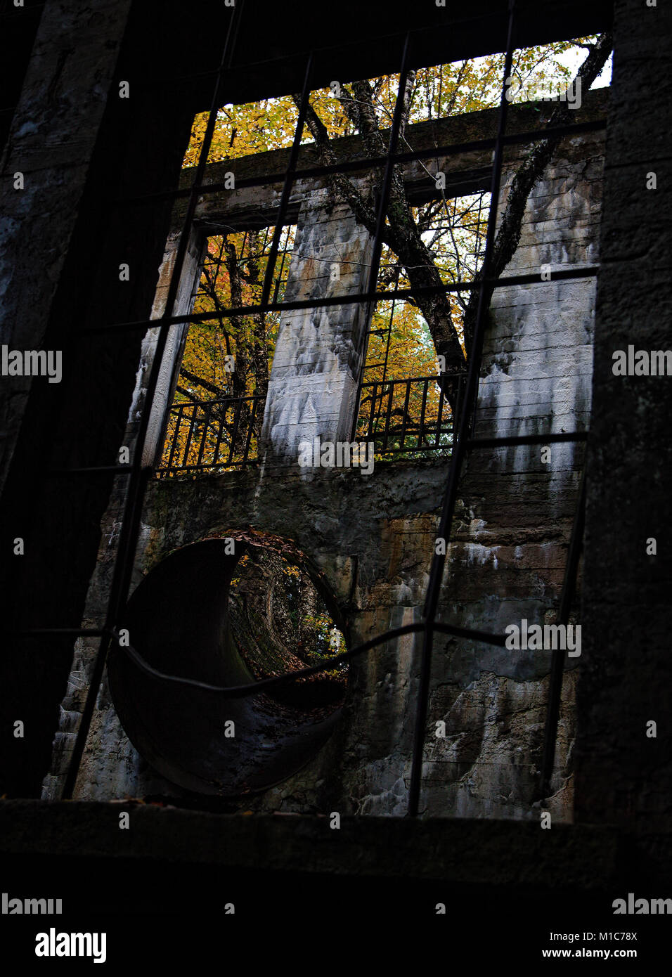 Windows At Carbide Willson Ruins Stock Photo