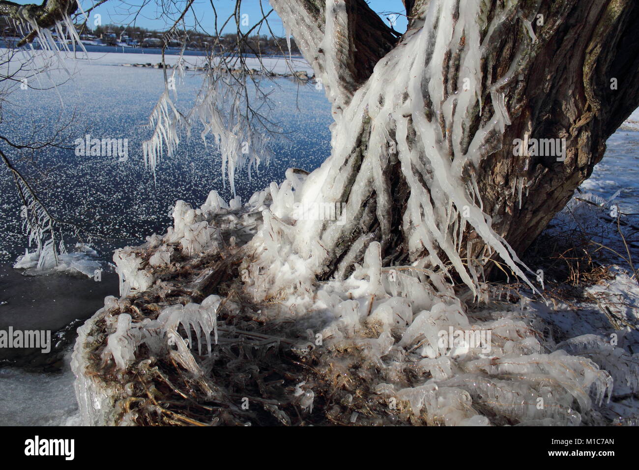 Ice Storm In Lemoine Point Stock Photo