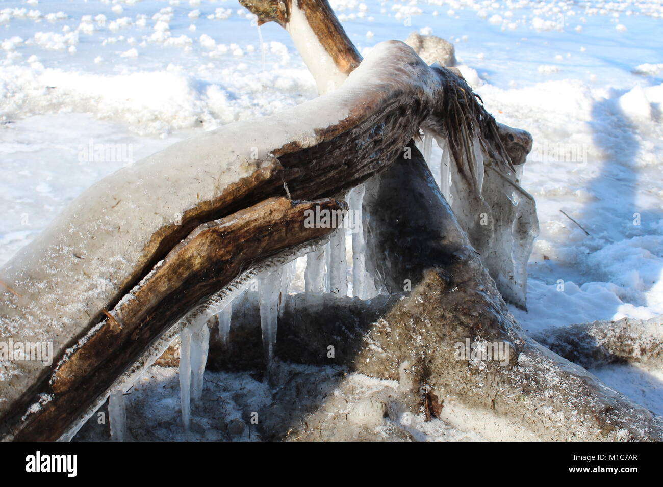 Ice in Lemoine Point Stock Photo