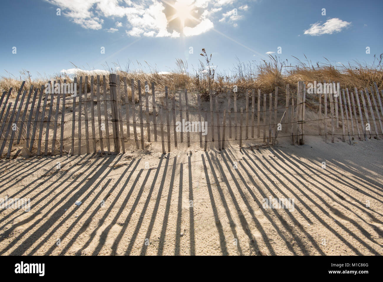 Beach fences and reeds leading to beach with shadows Stock Photo - Alamy