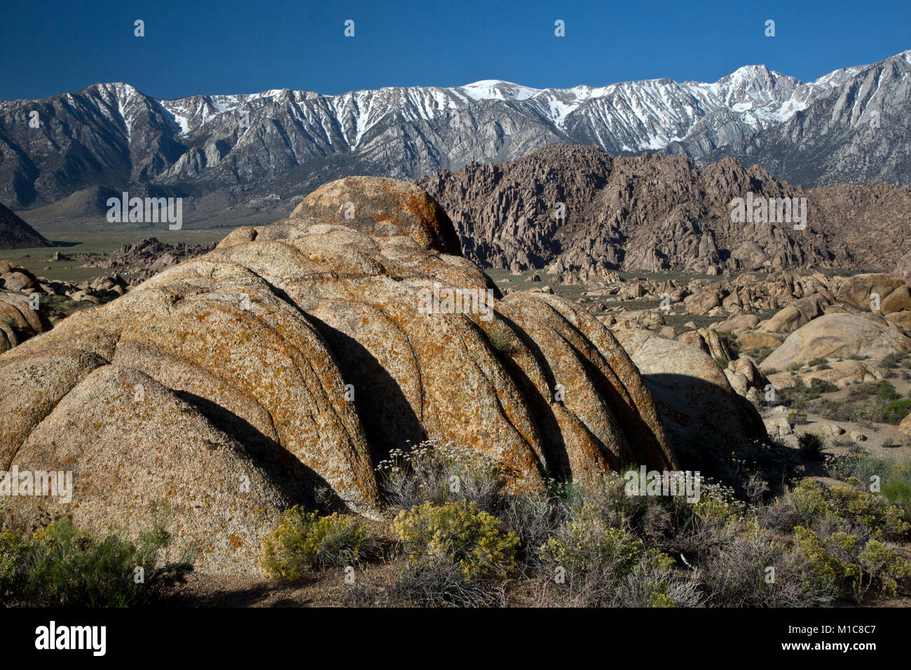 Alabama Hills and the Sierra Nevada in California Stock Photo Alamy