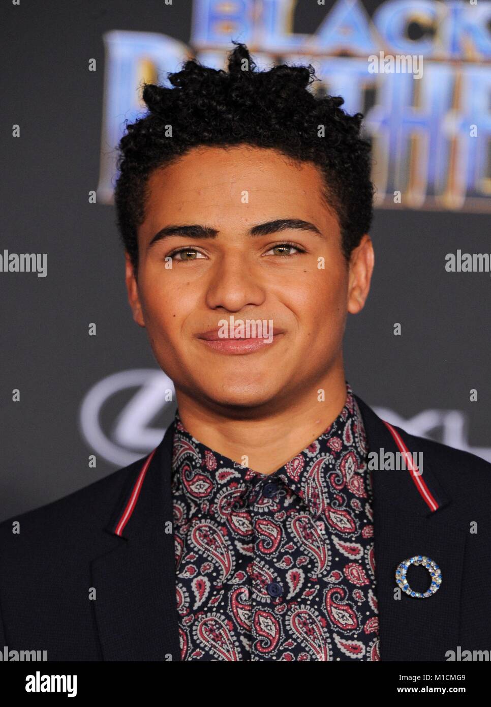 Nathaniel Potvin at arrivals for Marvel Studios BLACK PANTHER Premiere