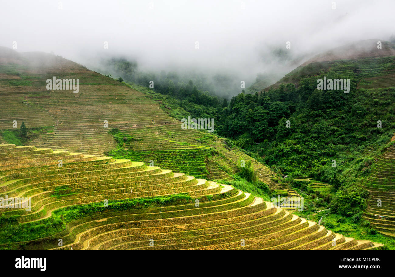 Asian ground landscape hi-res stock photography and images - Alamy