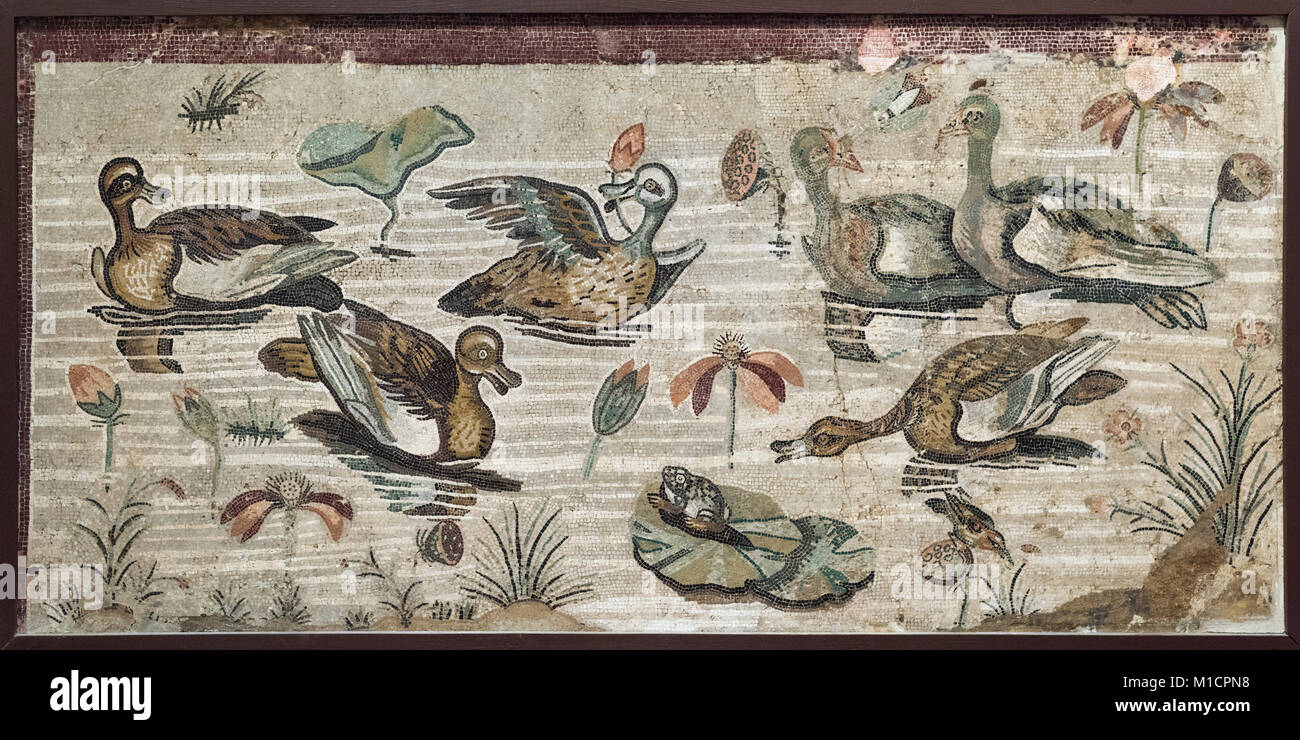 Paesaggio nilotico hires stock photography and images Alamy