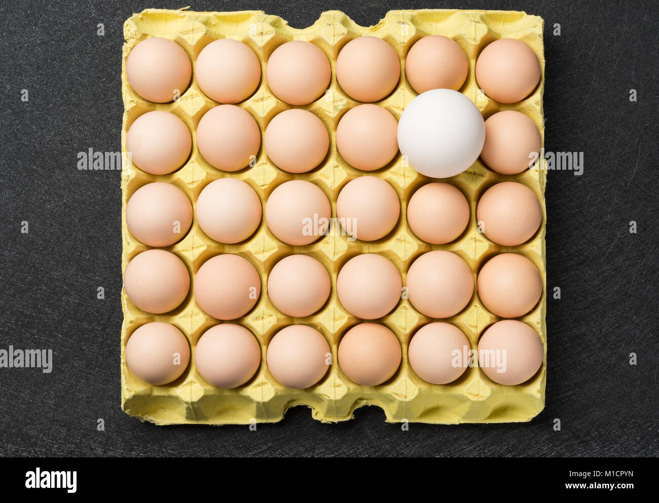 giant size goose egg between small chicken eggs concept of size comparison Stock Photo