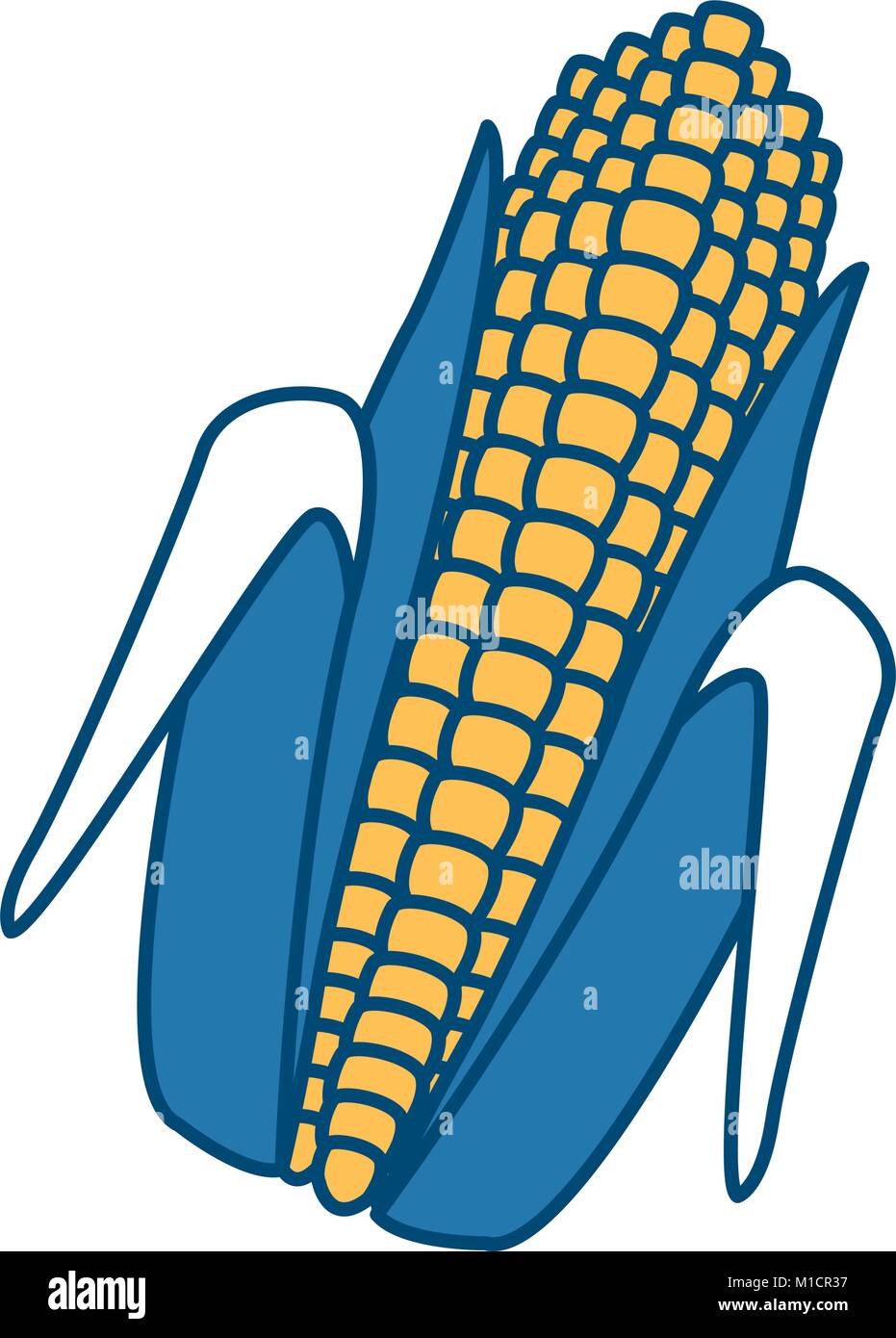 Fresh corn isolated Stock Vector Image & Art - Alamy