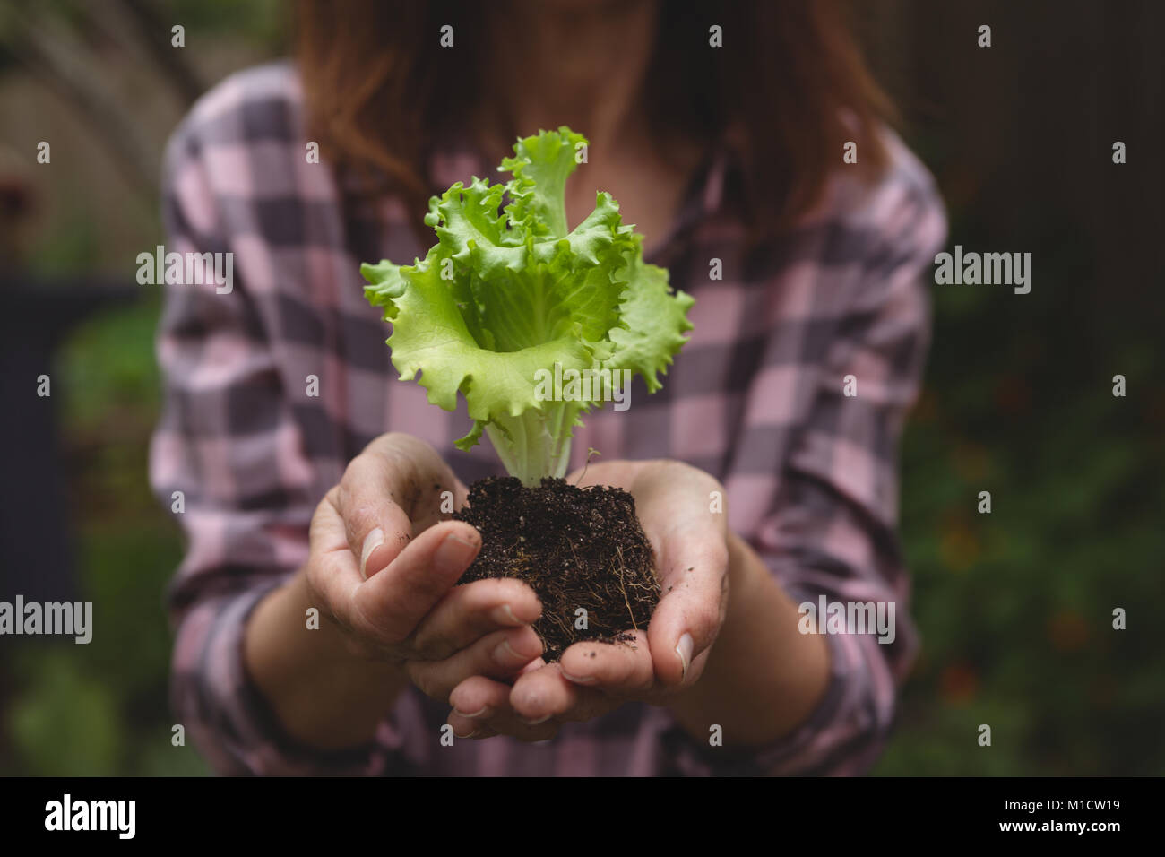 Woman holding plant in hand Stock Photo