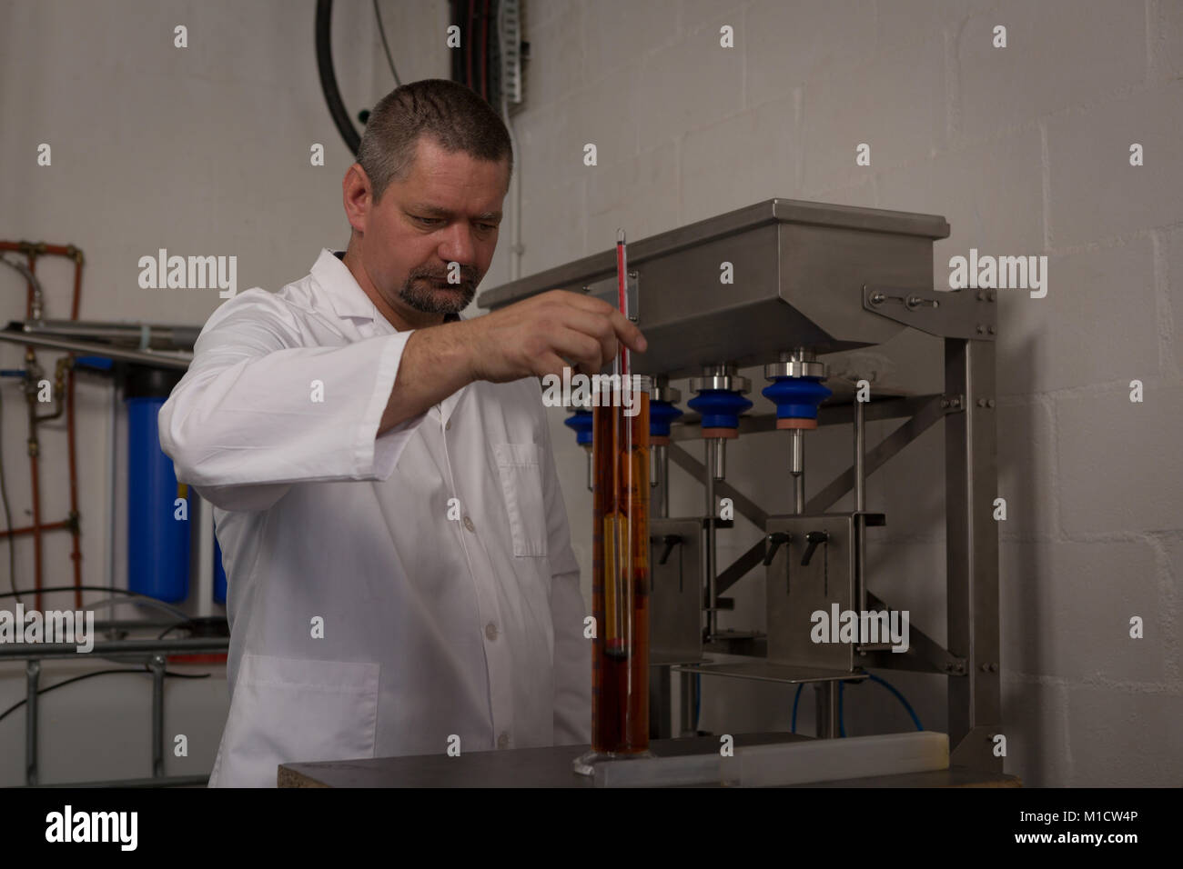 Male worker checking quality of gin Stock Photo Alamy