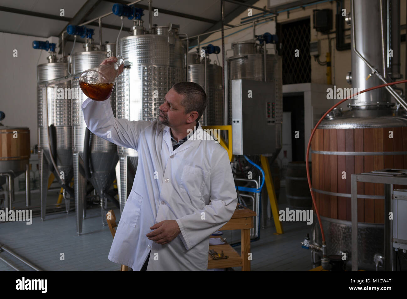 Male worker checking quality of gin Stock Photo