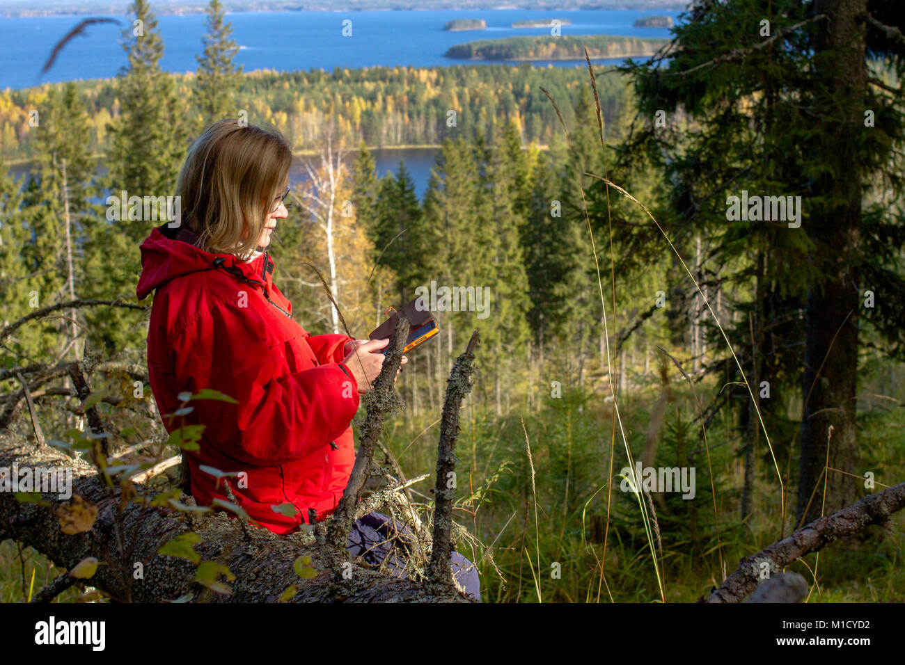 Woman using phone in forest Stock Photo