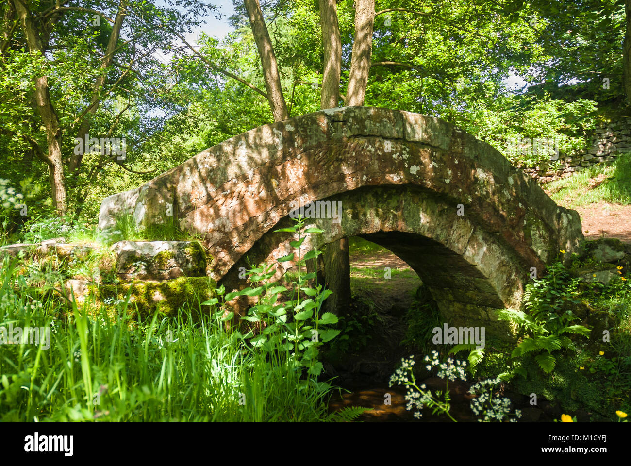 A pastoral English summer scene of a small bridge over a stream, or beck, in the Yorkshire Dales National Park, England. 08 June 2008. Stock Photo