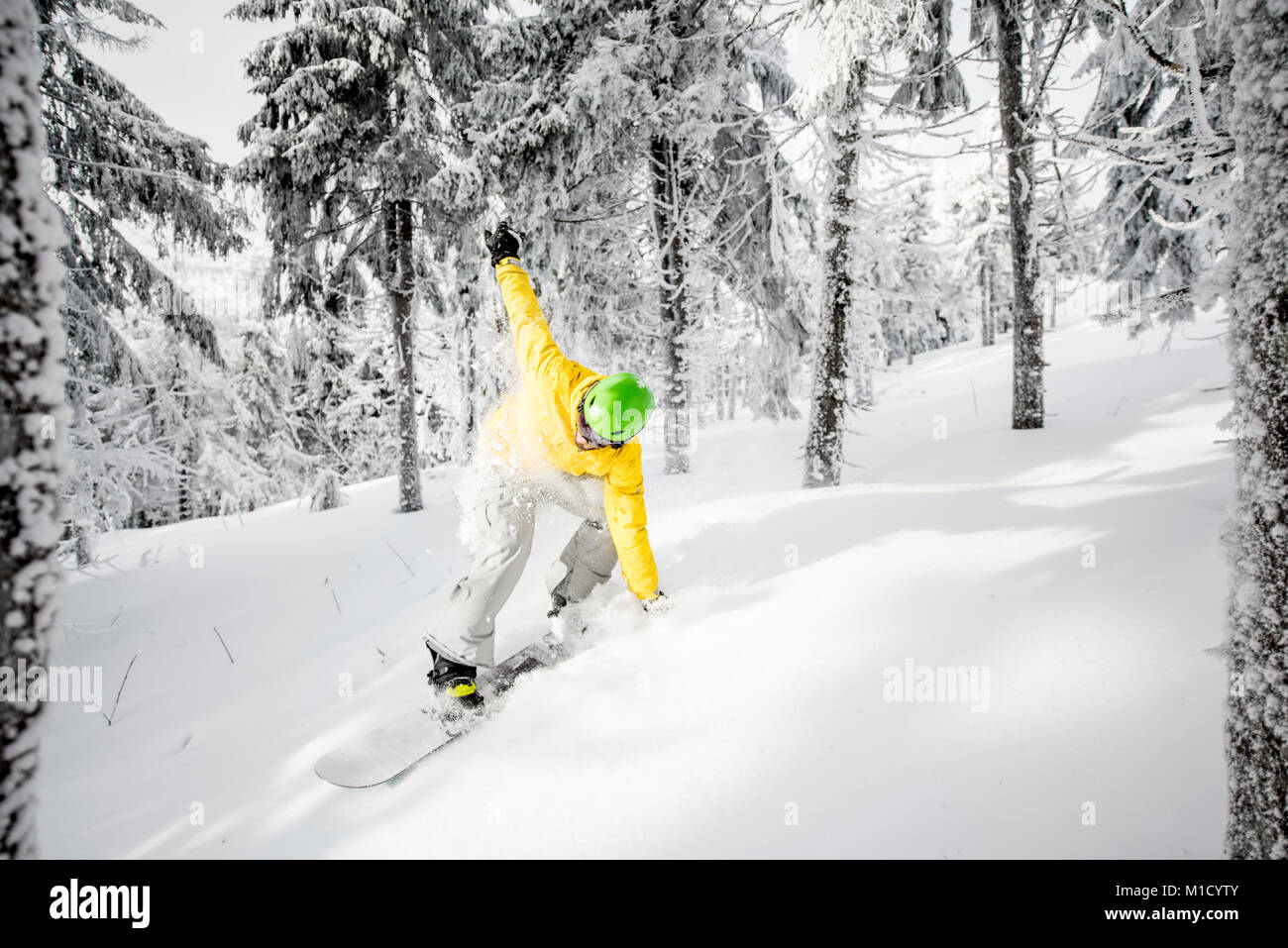 Man riding a snowboard in the snowy forest Stock Photo