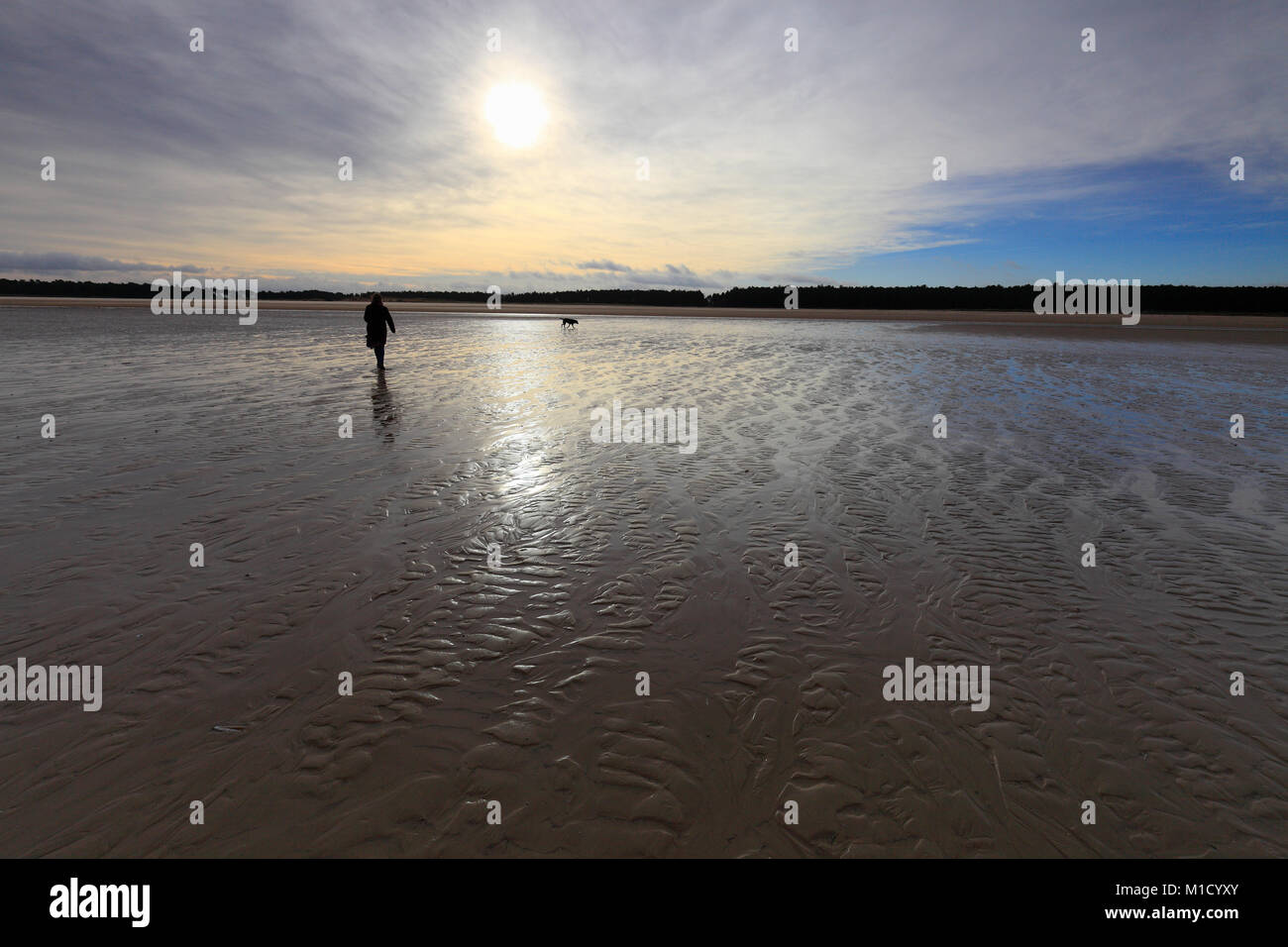 Woman and a dog on the wet sands of Holkham Bay on the North Norfolk coast. Stock Photo