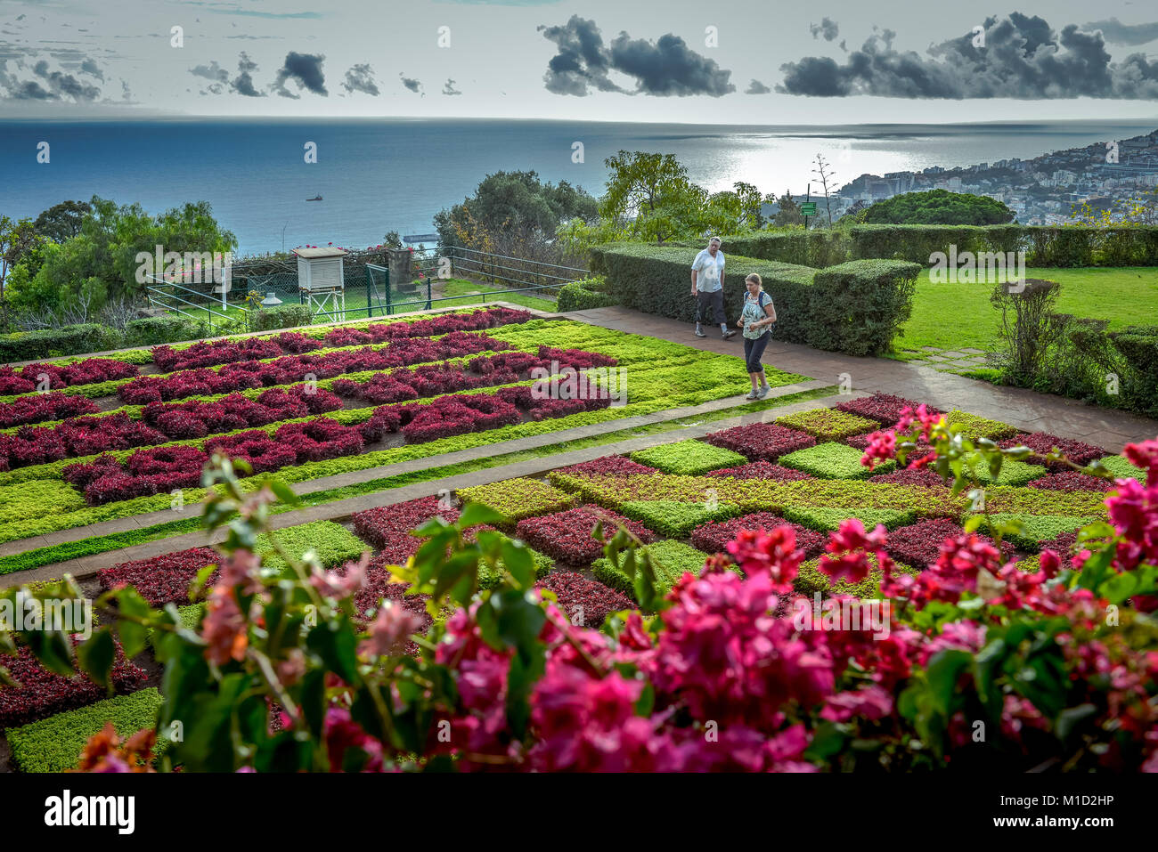 Flowerbeds Botanical Garden Funchal Madeira Portugal Stock