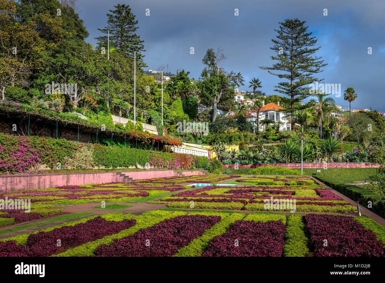 Flowerbeds Botanical Garden Funchal Madeira Portugal Stock
