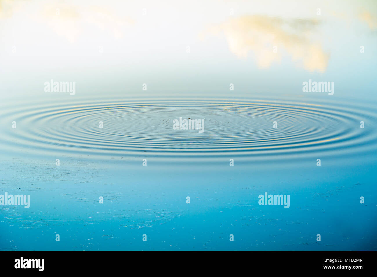 Ripples in pond Stock Photo - Alamy