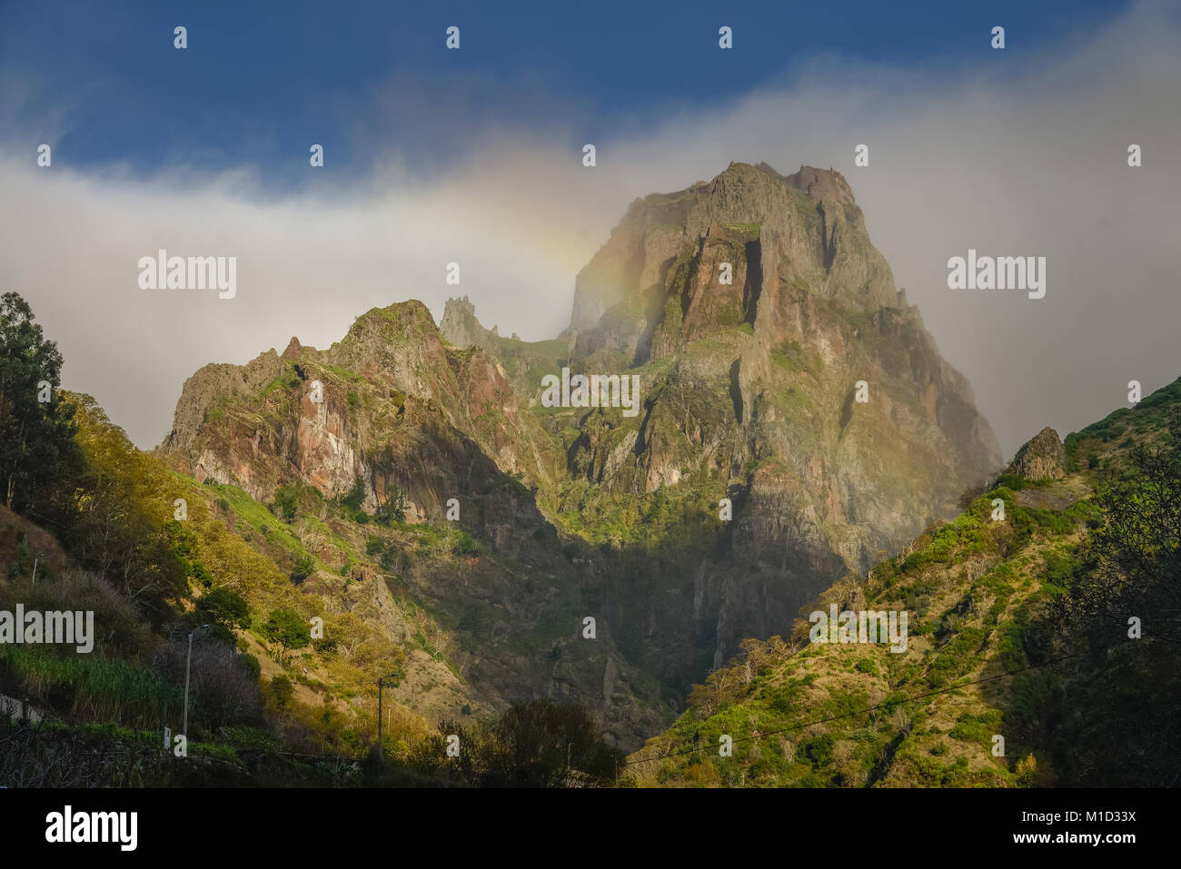 Fotos De Madeiras De Roraima