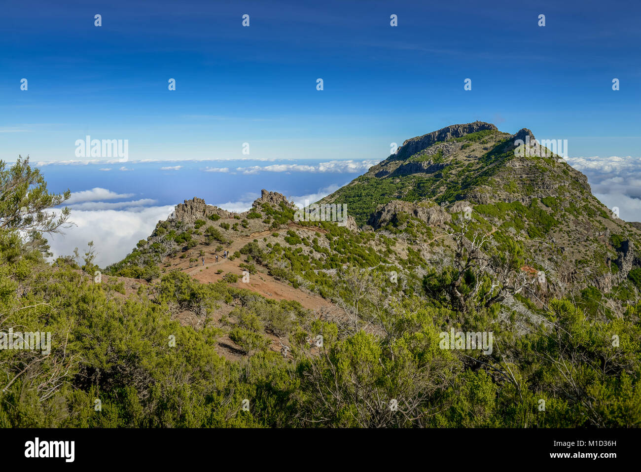 Mountain landscape of the Pico Ruivo, Central Mountains, Madeira, Portugal, Berglandschaft am Pico Ruivo, Zentralgebirge Stock Photo