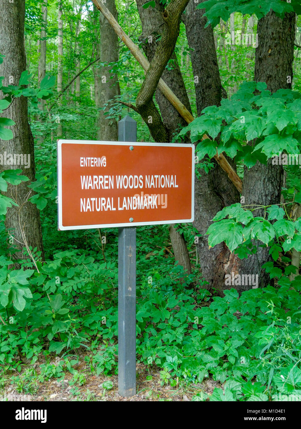 Warren Woods Natural Landmark sign. Warren Woods State Park, Michigan. Stock Photo