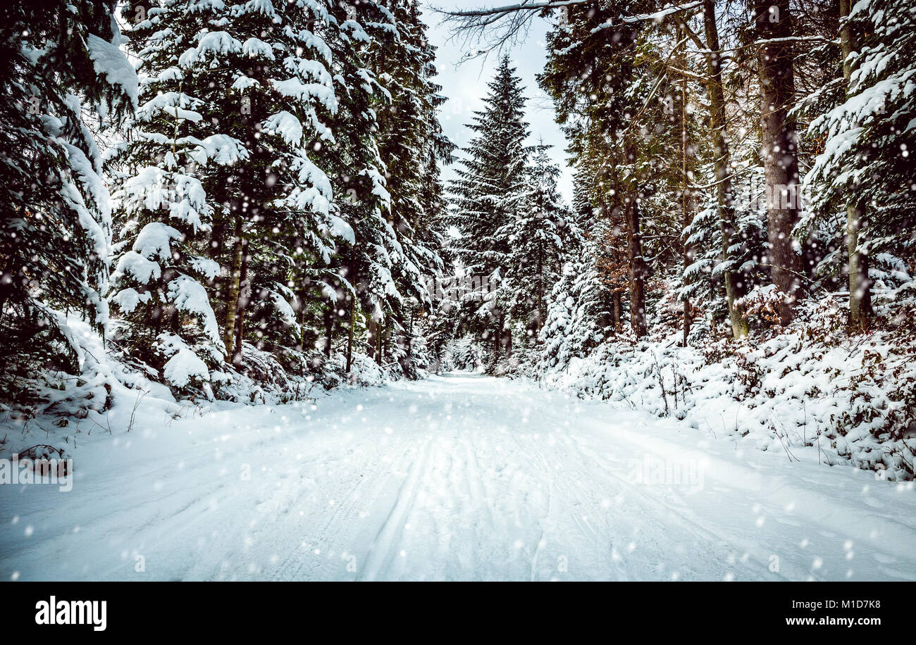Winter landscape. Road covered in snow in dense forest Stock Photo - Alamy