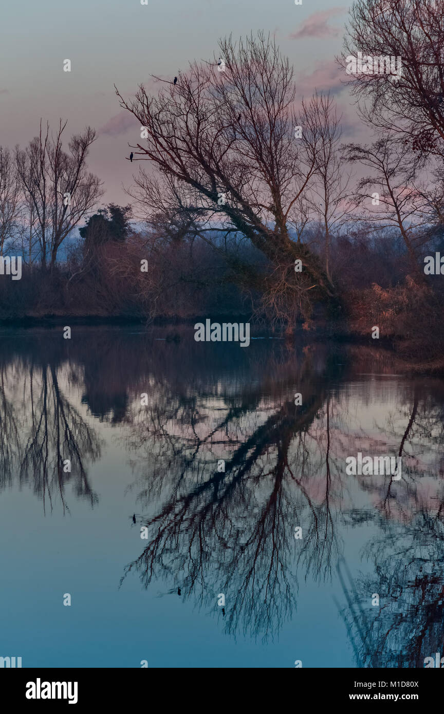 Sunset on the river with tree and reflections on the water Stock Photo ...