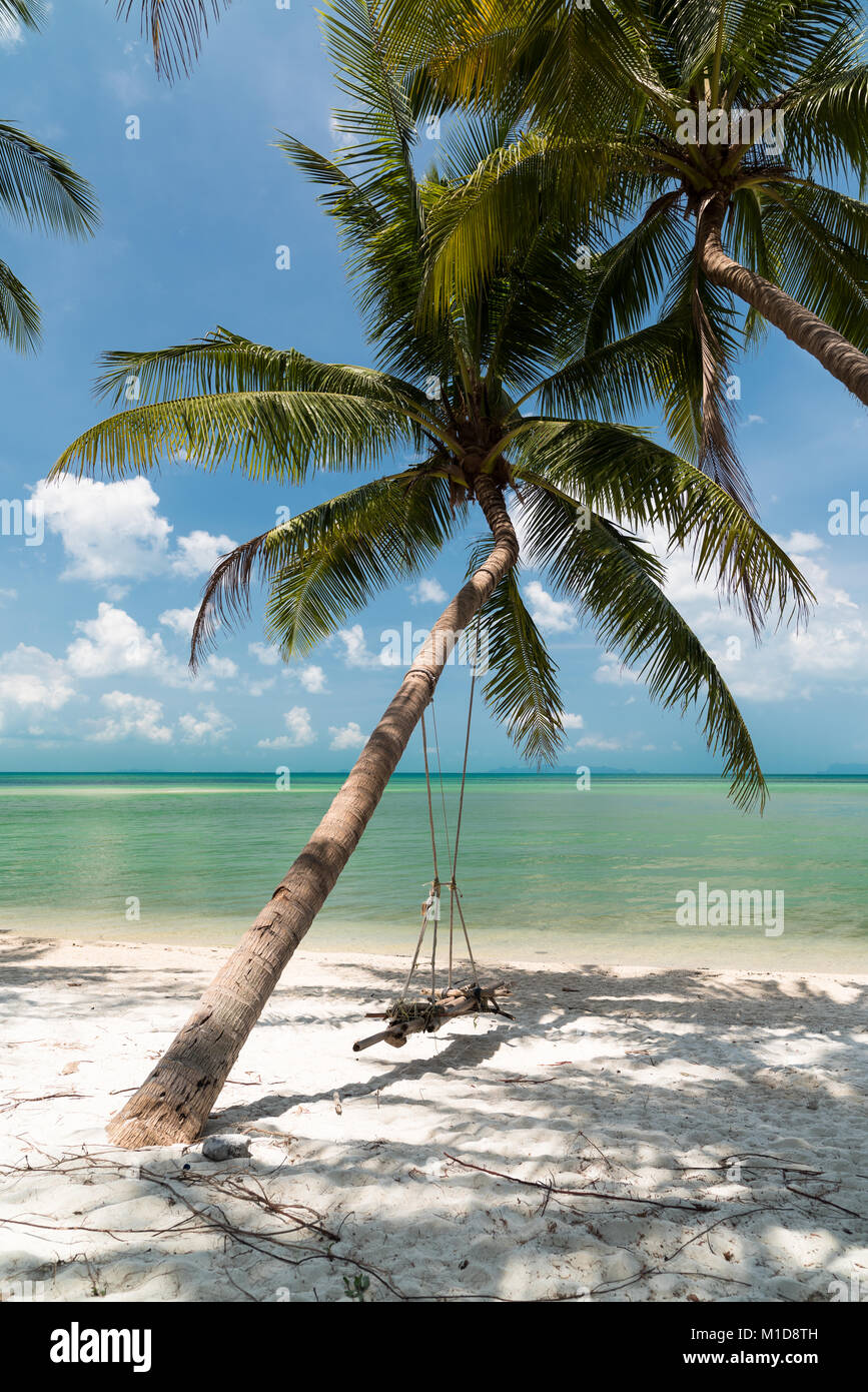 Single vibrant coconut palm tree on a white tropical beach Stock Photo