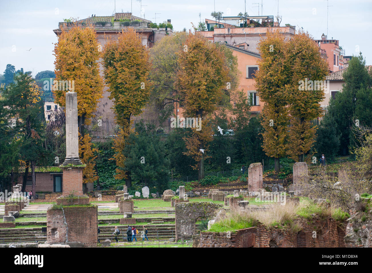 Rome, Italy. Forum of Nerva. Stock Photo