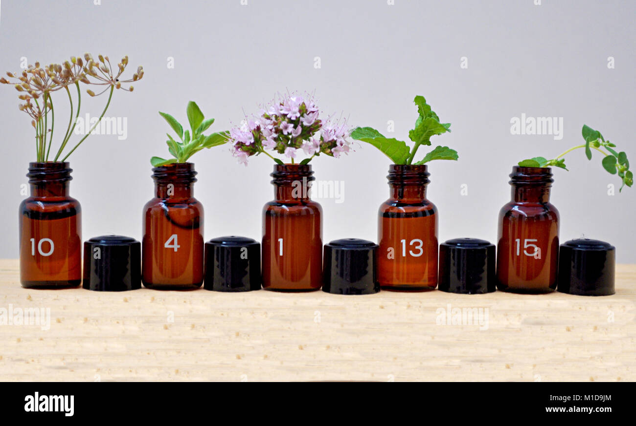 small jars glass with plants Stock Photo Alamy