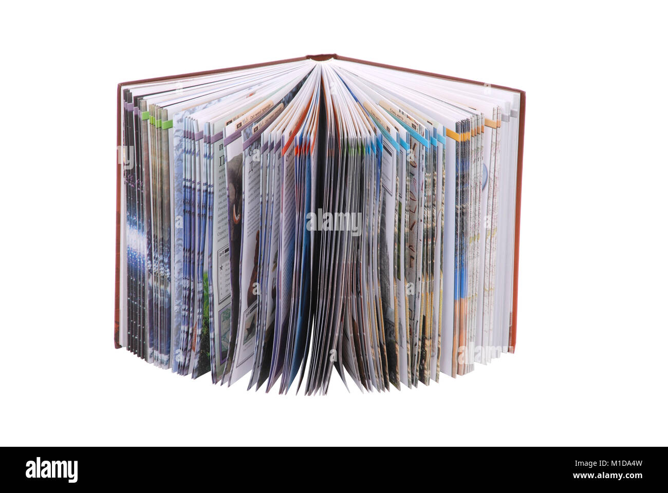 The opened book isolated on white background Stock Photo - Alamy