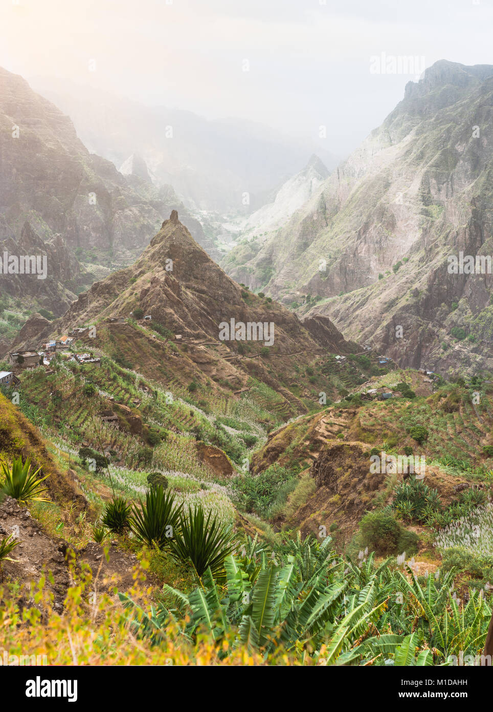 Mountain peaks in Xo-Xo valley of Santa Antao island in Cape Verde. Landscape of many cultivated plants in the valley between high rocks. Arid and erosion mountain peaks under hot sun light Stock Photo