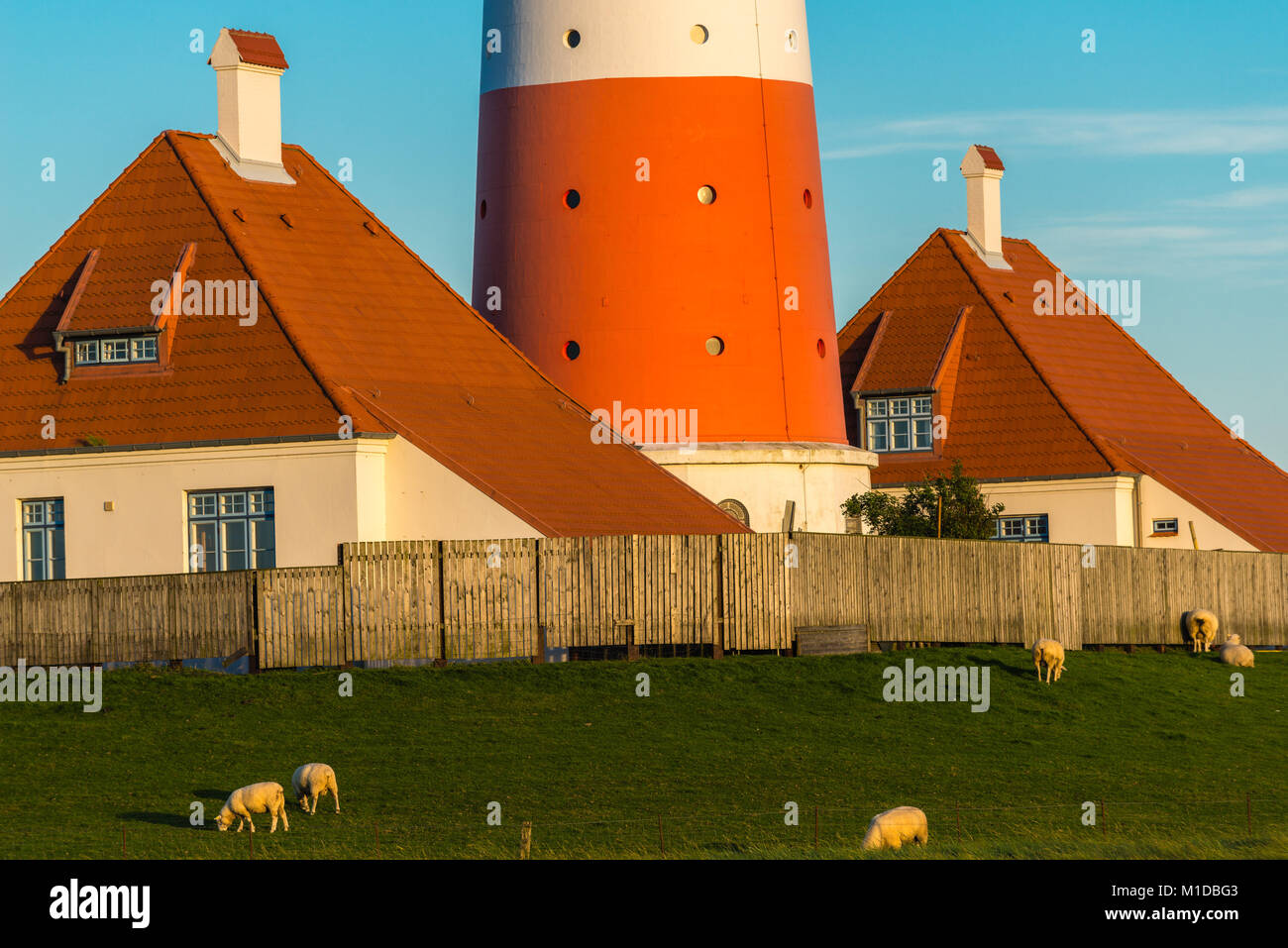 Germany´s most famous lighthouse Westerheversand in the salt marshes of the North Sea,  Westerhever, North Frisia, Schleswig-Holstein, Germany, Europe Stock Photo