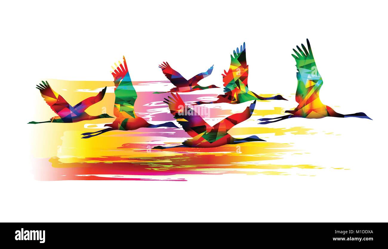 Colourful birds flying, cranes. Vector illustration Stock Vector