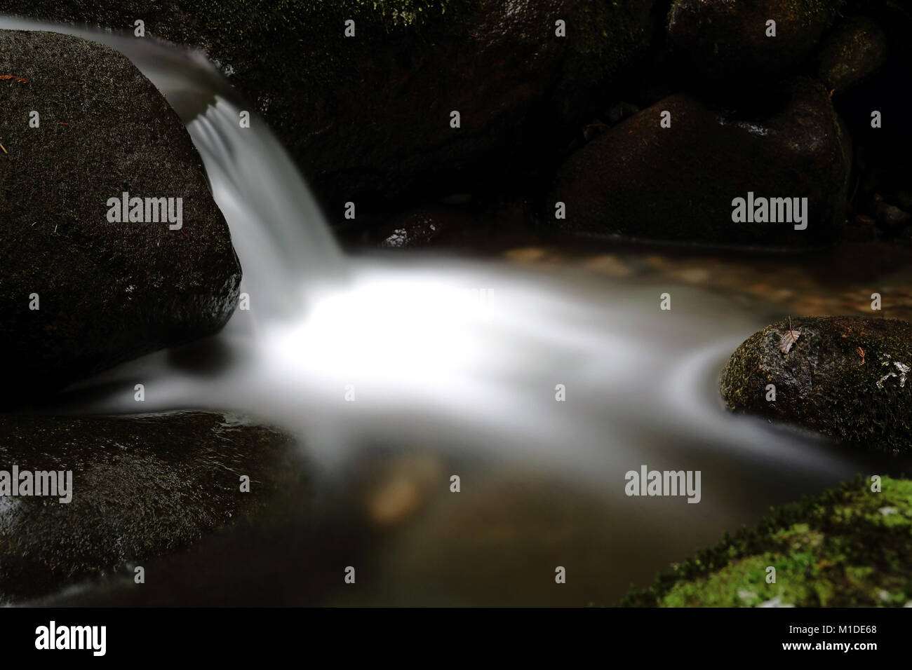 Creek waterfall Stock Photo