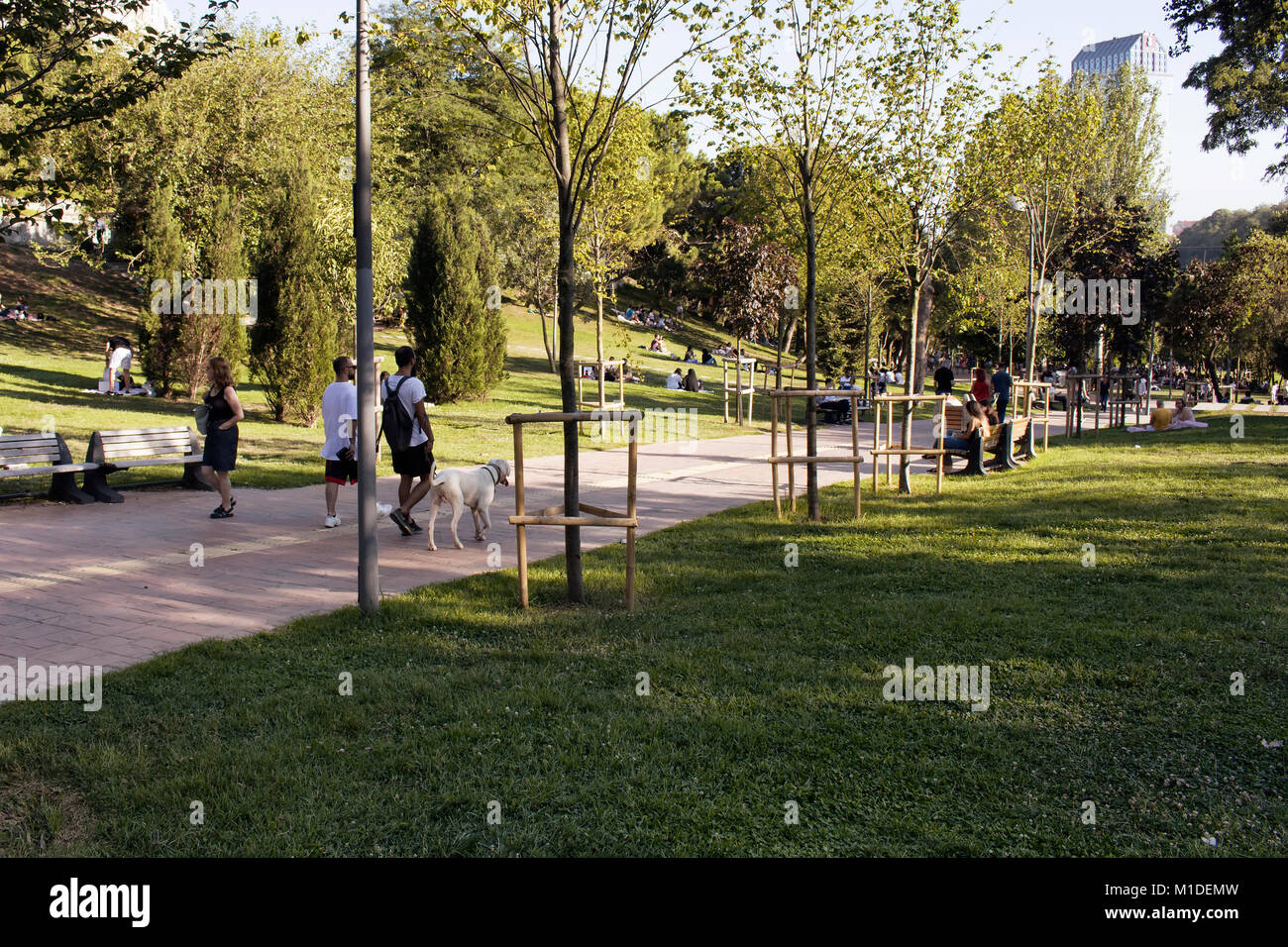 View of people walking, hanging out on grass ground at park in Nisantasi / Istanbul in sunny summer day. Stock Photo