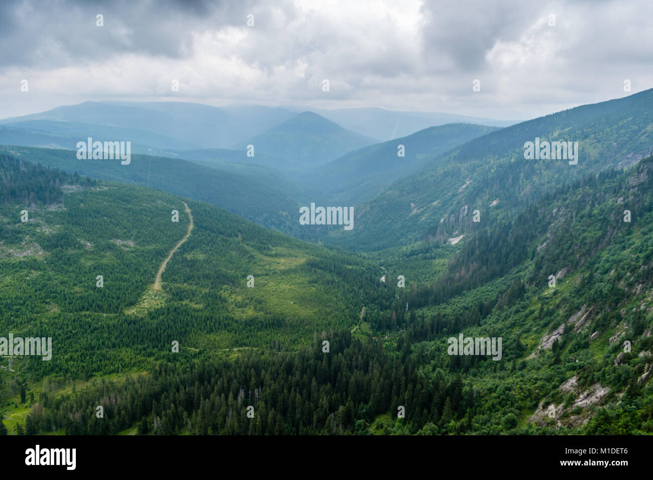 Beautiful view from mountains to the green valley with trees and forest ...