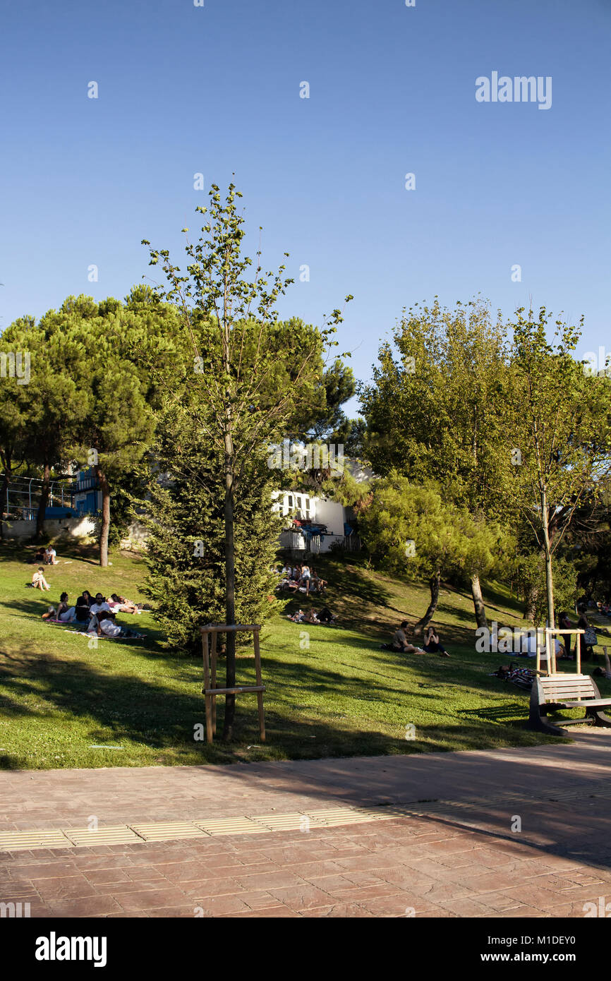 View of people hanging out on grass ground at park in Nisantasi / Istanbul in sunny summer day. Stock Photo