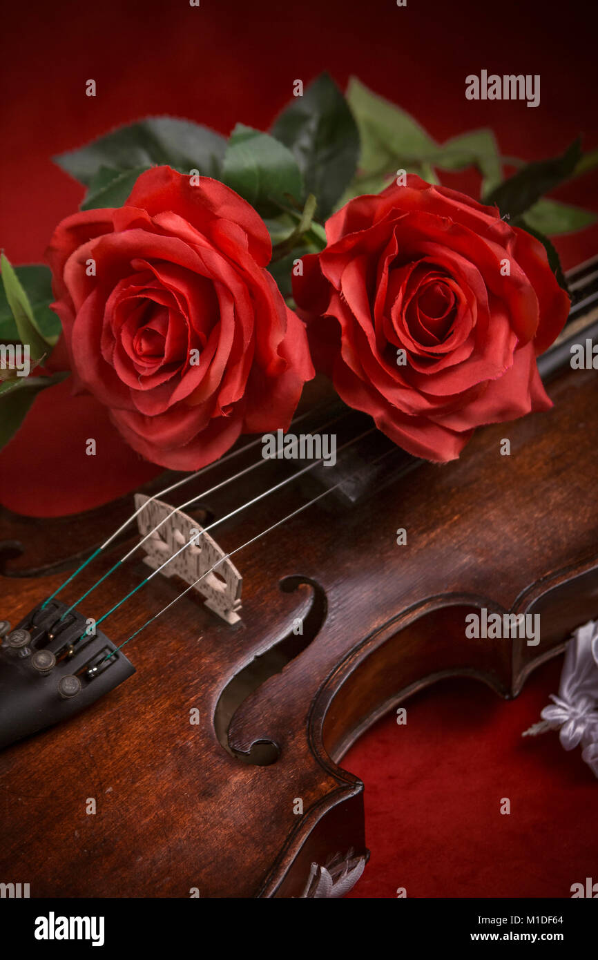 Red Roses And Violin Valentine violin with red roses on a dark red background Stock Photo ...