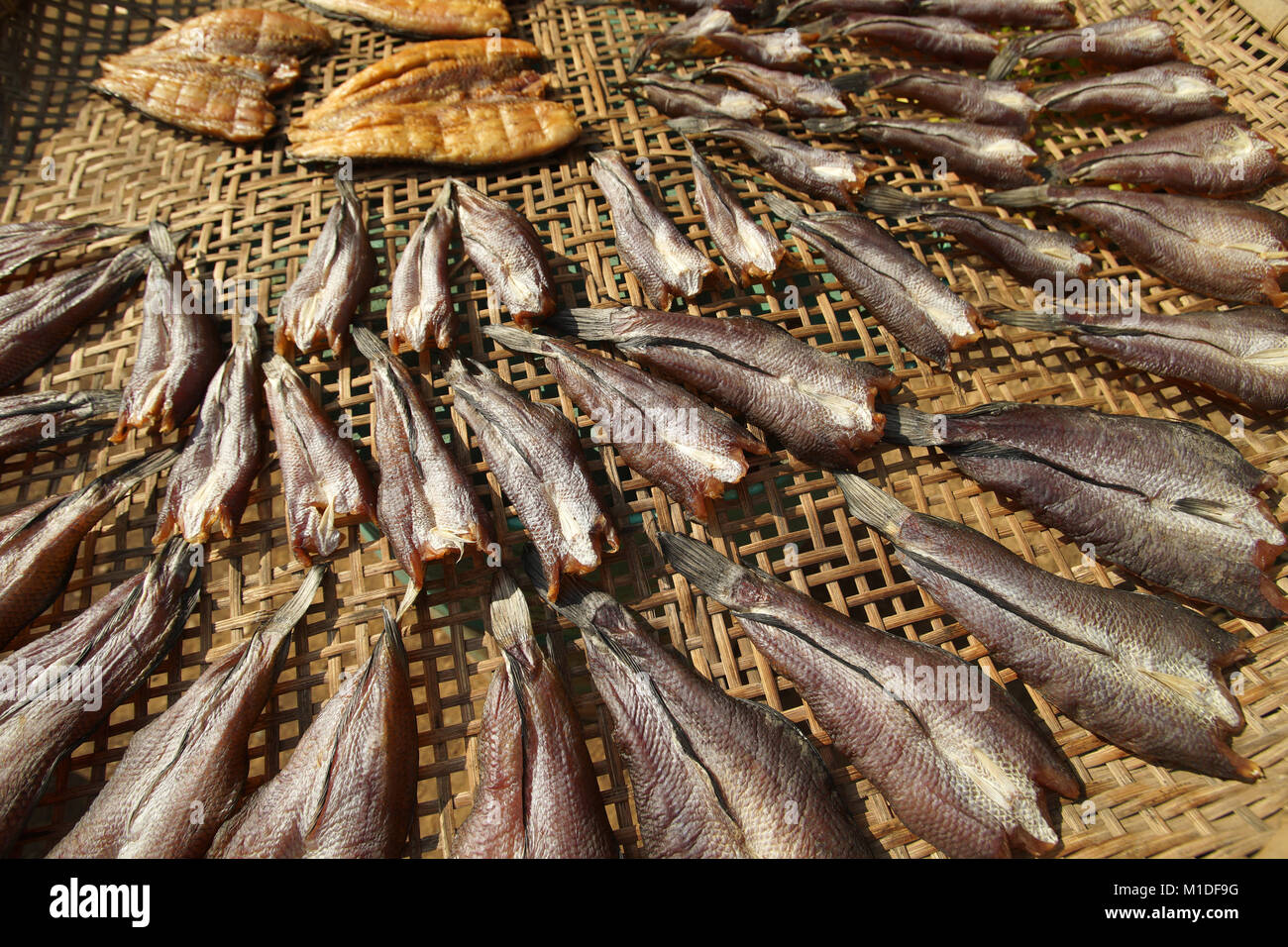 dried fish, drying fish in the sun for food preservation Stock Photo