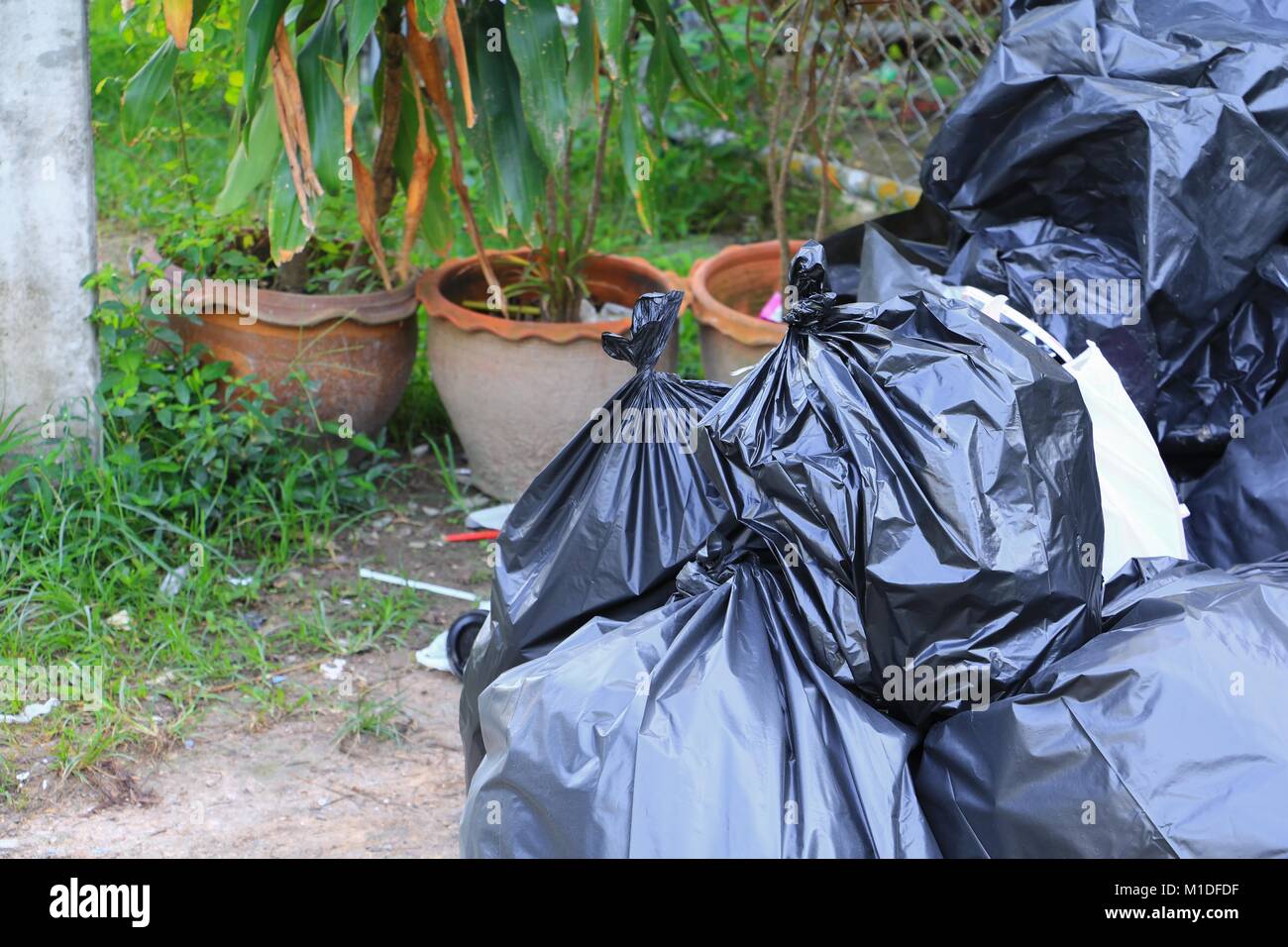 Man throwing out black eco-friendly recyclable trash bag in to big plastic  green garbage container. Stock Photo by nikolast1