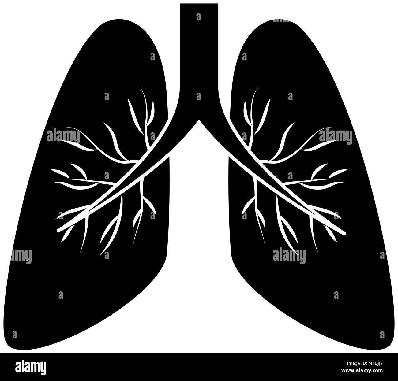 Human Lungs Black and White Stock Photos & Images - Alamy