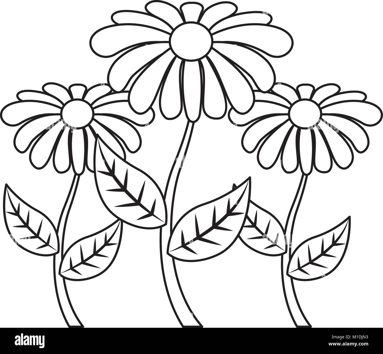 decoration-three-rose-stem-petal-flower-leaf-botanical-vector