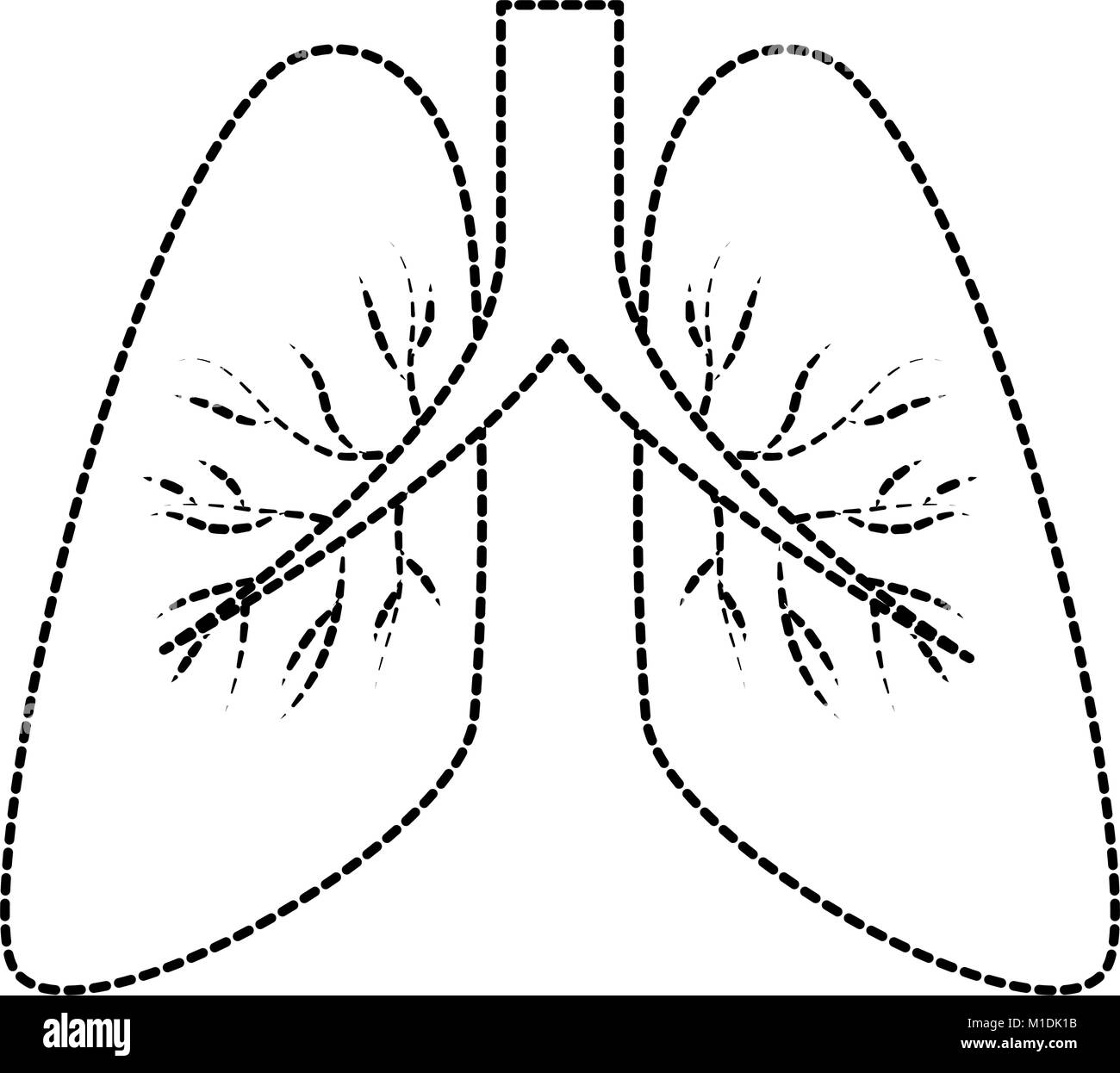 Lungs anatomy smoker Black and White Stock Photos & Images - Alamy