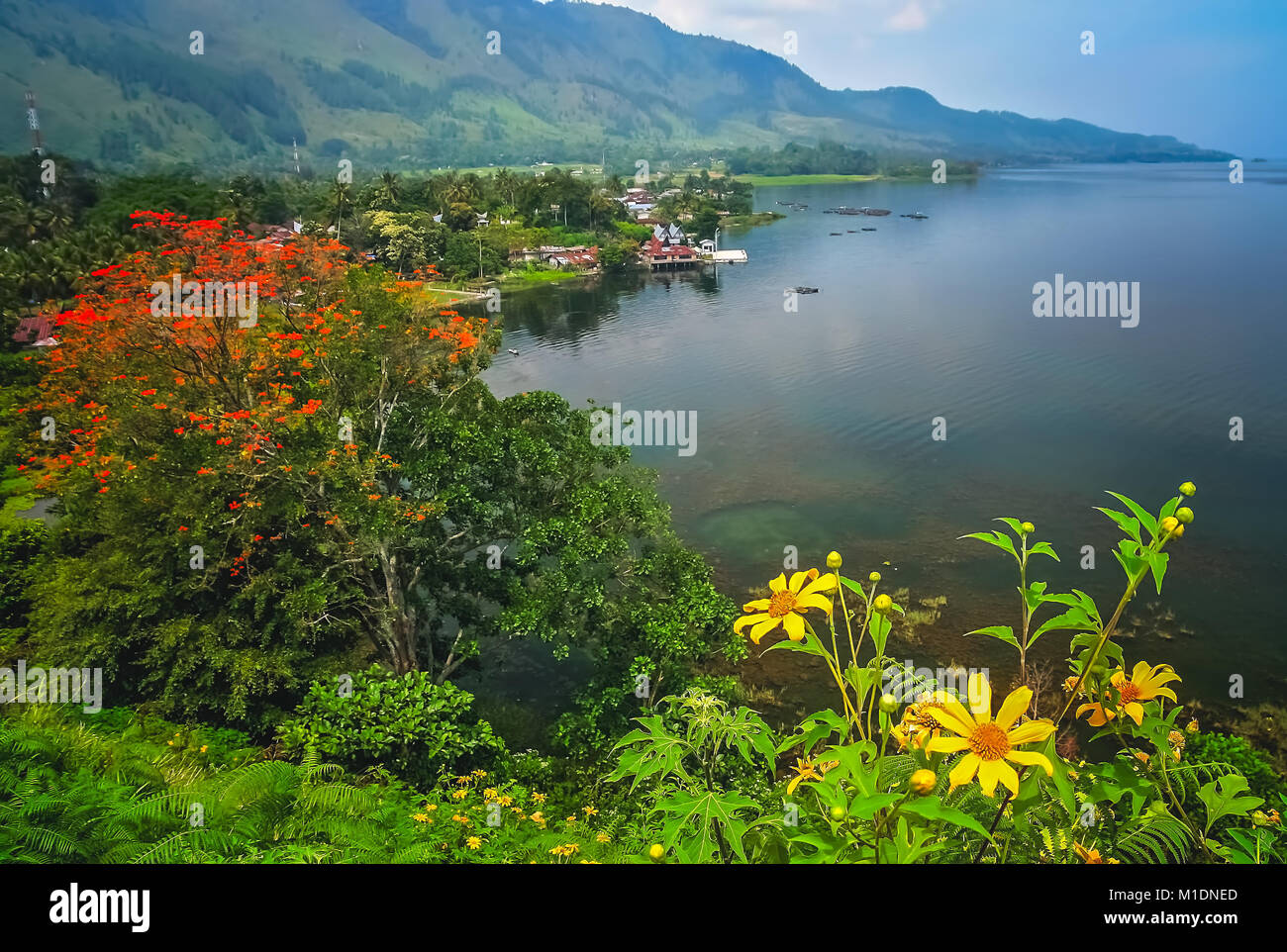 Shore of the magnificent Lake Toba on the Sumatra Island, Indonesia Stock Photo