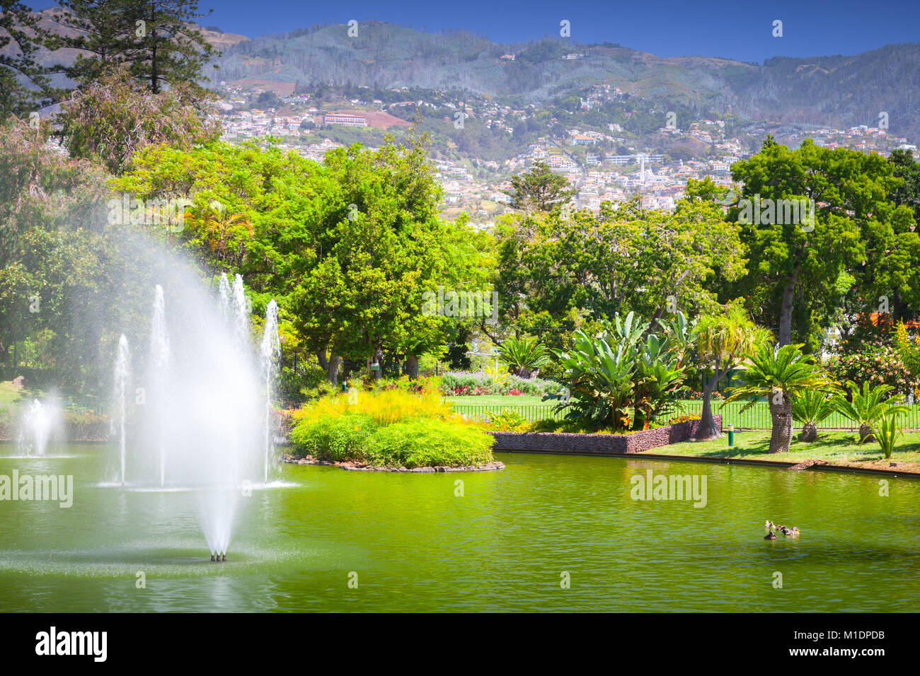 Fountains in Santa Catarina Park, this is one of the largest parks of
