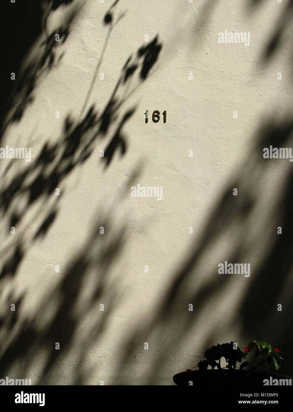 Tree shadow on wall with house number and plant. Stock Photo